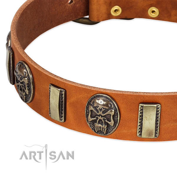 Reliable studs on genuine leather dog collar for your dog