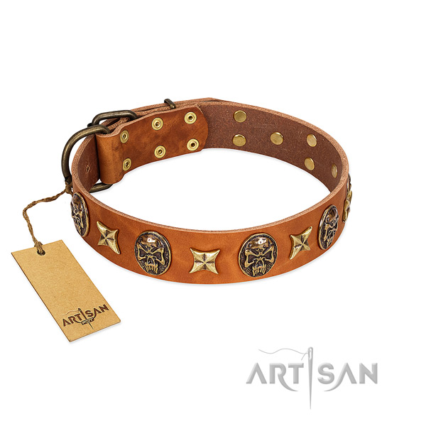Perfect fit full grain leather collar for your doggie