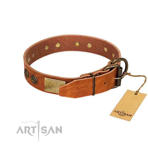 Rust-proof D-ring on genuine leather collar for everyday walking your pet