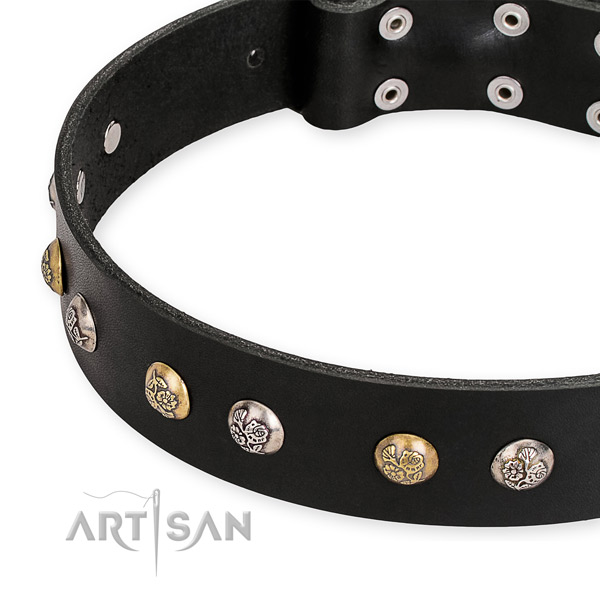 Natural genuine leather dog collar with amazing corrosion resistant studs