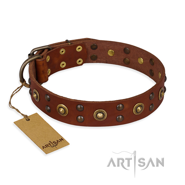 Handmade genuine leather dog collar with rust resistant D-ring