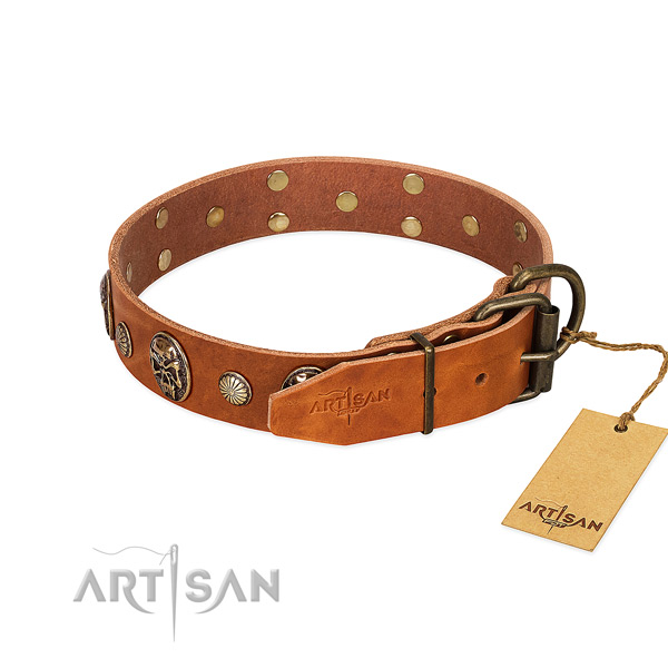 Durable hardware on full grain leather collar for basic training your pet