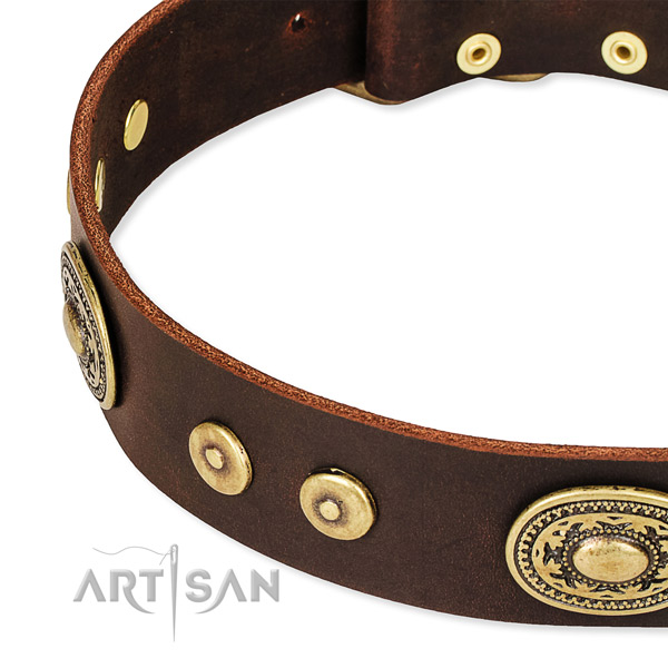 Decorated dog collar made of quality leather