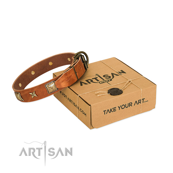 Fine quality leather collar for your lovely doggie