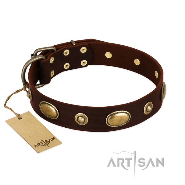 Fashionable full grain genuine leather collar for your four-legged friend
