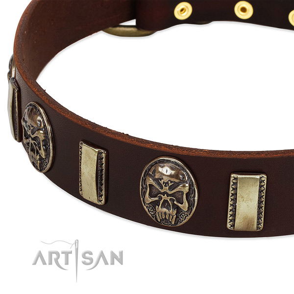 Reliable adornments on full grain genuine leather dog collar for your pet