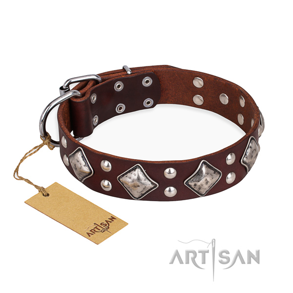 Easy wearing handmade dog collar with durable hardware
