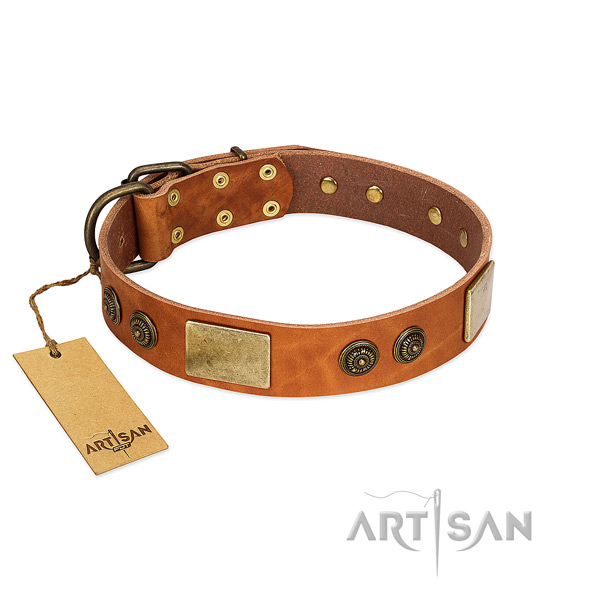 Handcrafted full grain natural leather dog collar for everyday walking