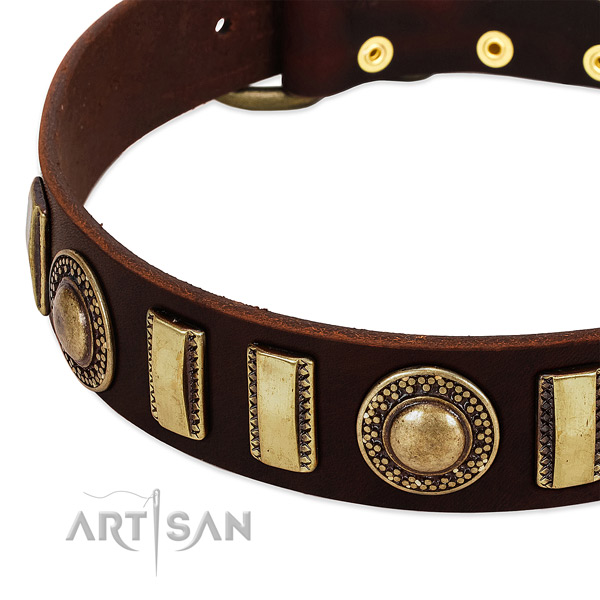 High quality full grain natural leather dog collar with strong traditional buckle