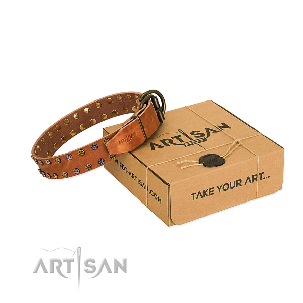 Handy use high quality full grain leather dog collar with embellishments