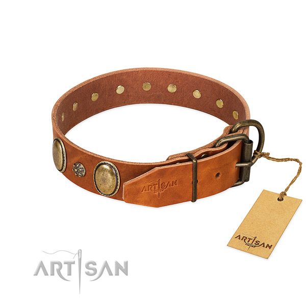 Walking top rate leather dog collar