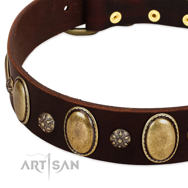Easy wearing top notch leather dog collar