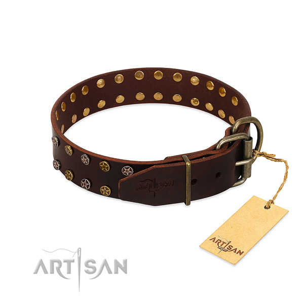 Walking full grain genuine leather dog collar with fashionable adornments
