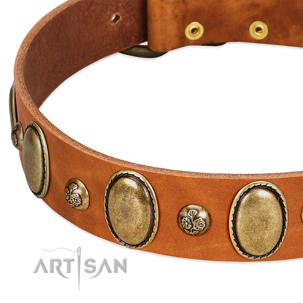 Full grain genuine leather dog collar with unique embellishments