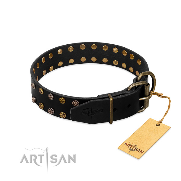 Leather collar with awesome studs for your canine