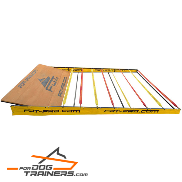 Colorful Barrier for Dog Training