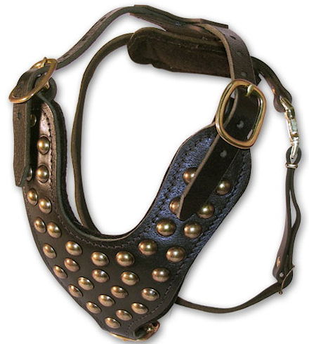 Leather dog deals harness