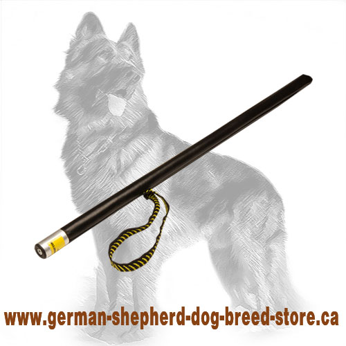 German shepherd 2024 training equipment