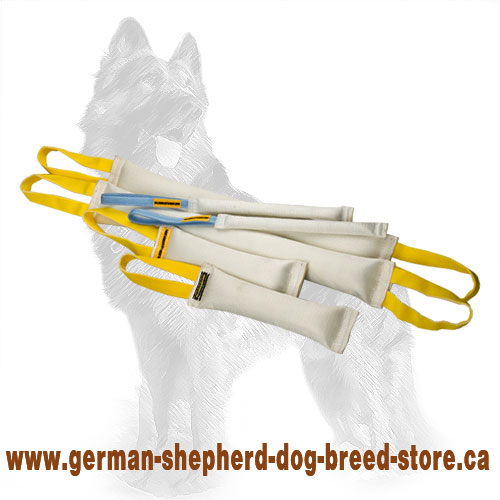 Double Fire Hose German Shepherd Training Set