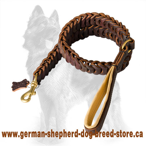 Braided leather 2025 dog leash