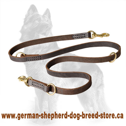 Buffalo leather dog clearance collar