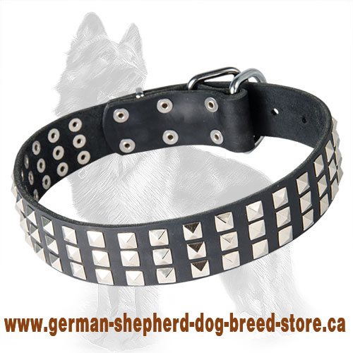 German Shepherd Leather Dog Collar with 3 Rows of Nickel Square Pyramids