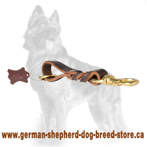 short leather dog leash