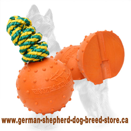 https://www.german-shepherd-dog-breed-store.ca/images/large/German-Shepherd-Water-Ball-with-Dotted-Surface-TT14_LRG.jpg