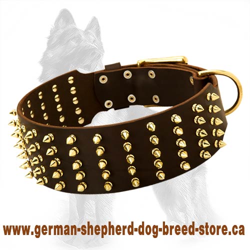 Brass dog outlet collar