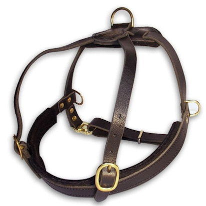 Dog roading harness best sale