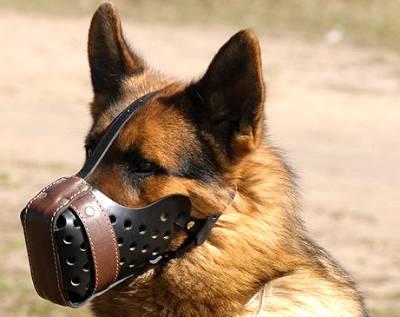 best muzzle for a german shepherd